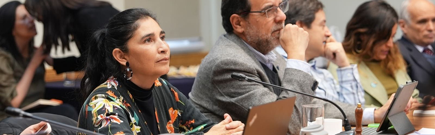 H2V Magallanes se reúne con la Comisión de Minería y Energía