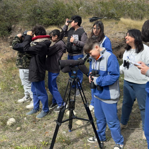 Birdwatching Class in the Municipality of San Gregorio